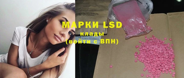 шишки Вязьма