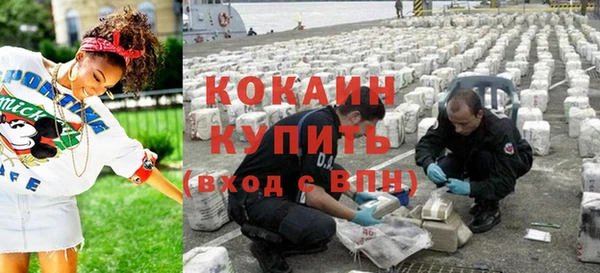 шишки Вязьма