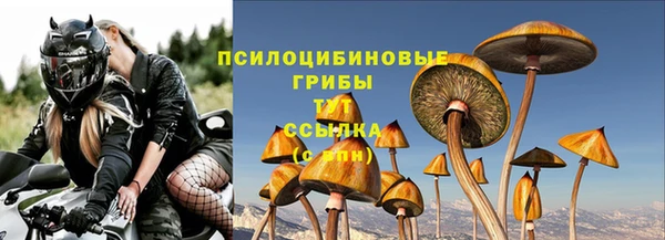 СК Вязники