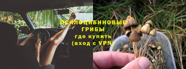 герыч Верхний Тагил